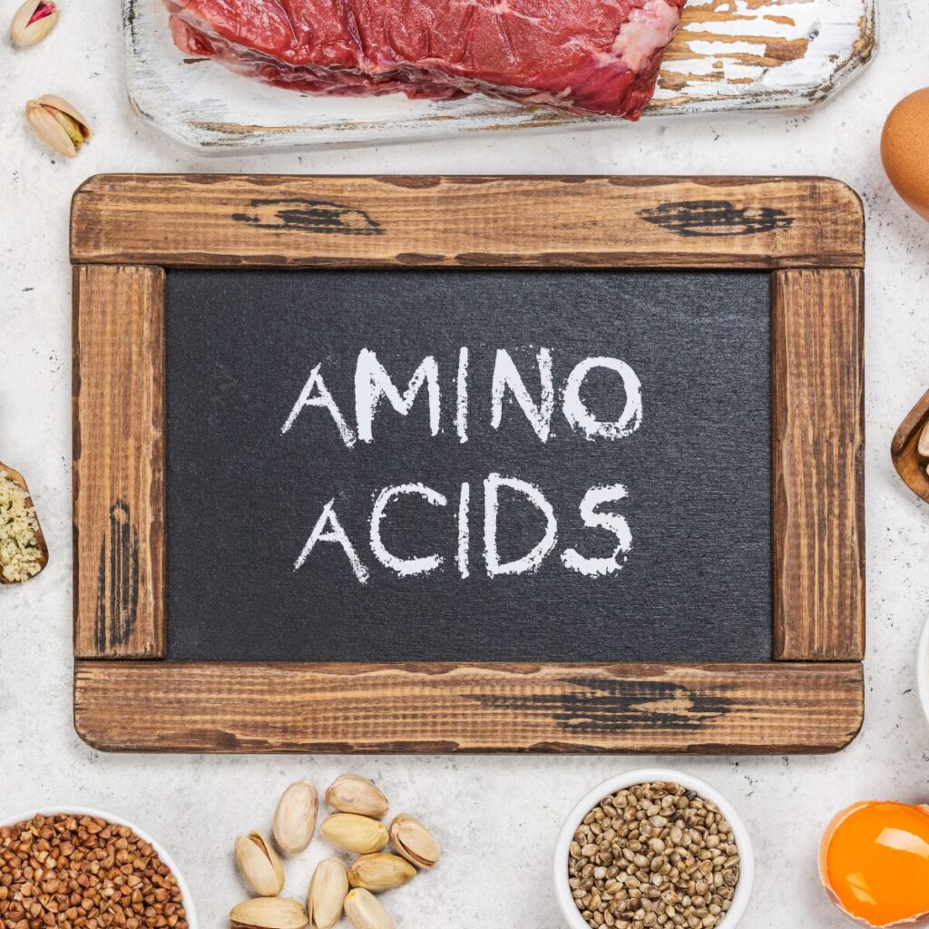 Amino acid rich foods.
