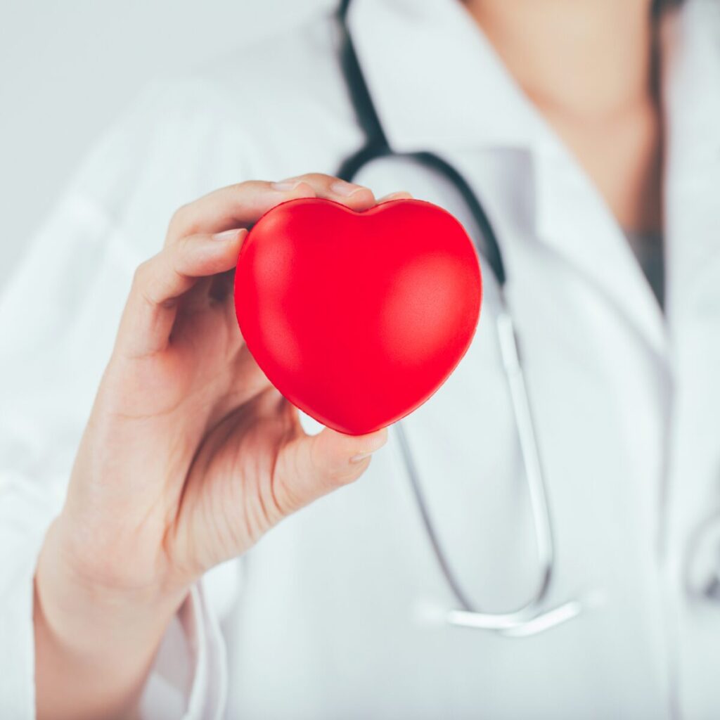 Doctor holding a heart.