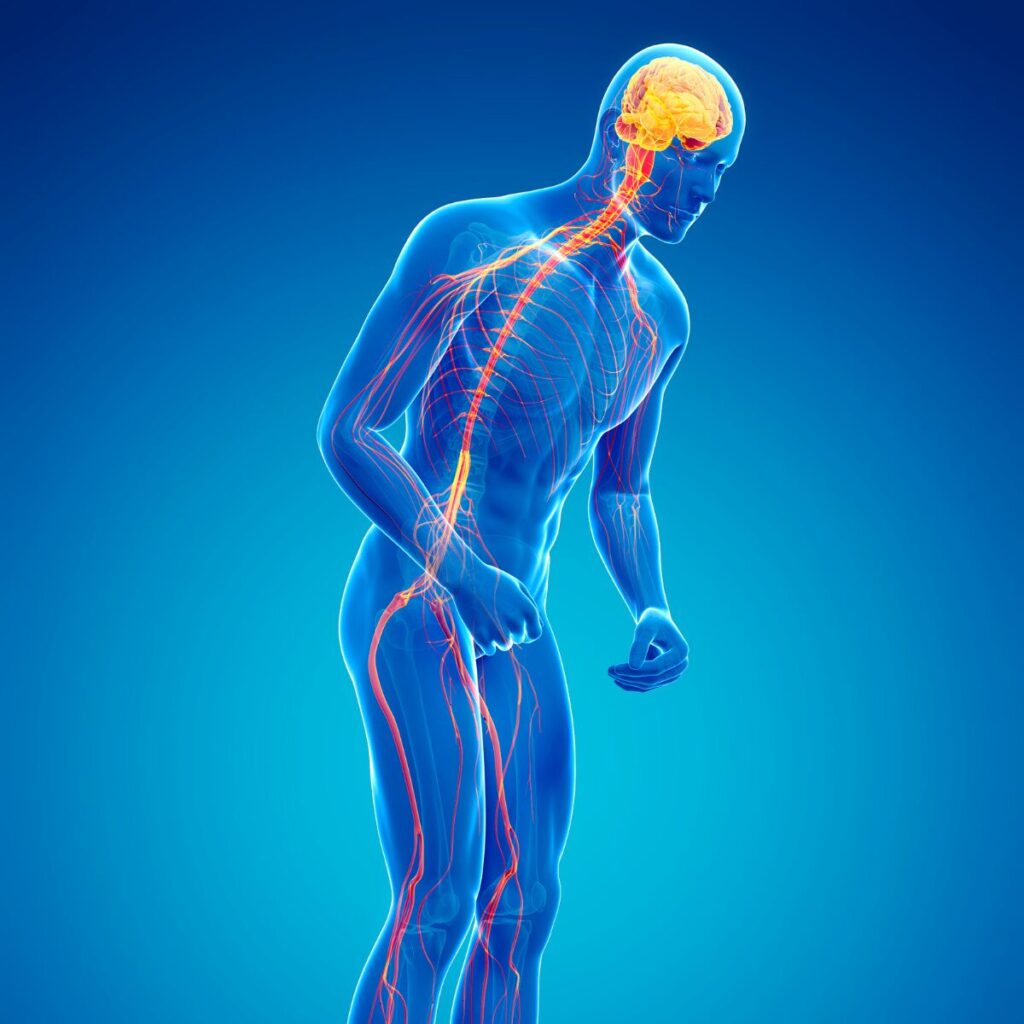 Illustration of nervous system of man with Parkinson's disease.