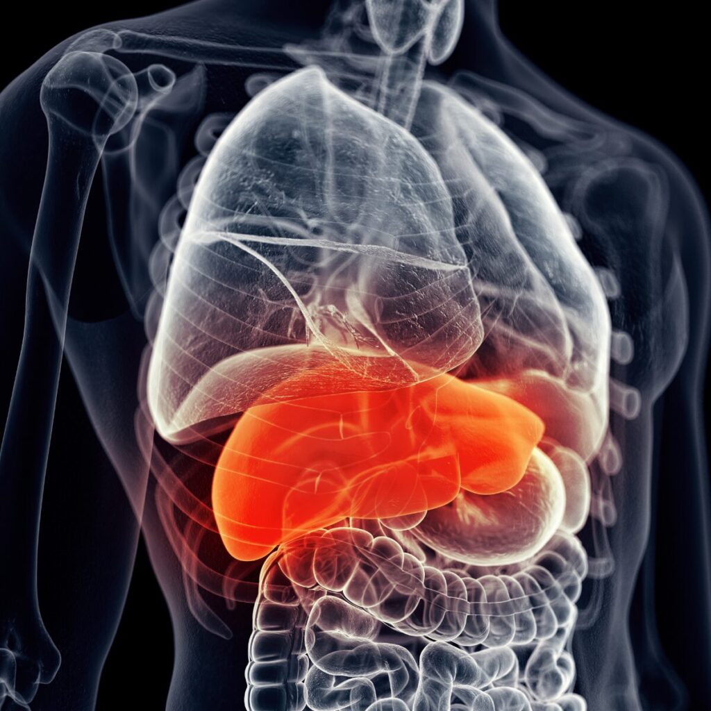 Illustration showing painful liver.